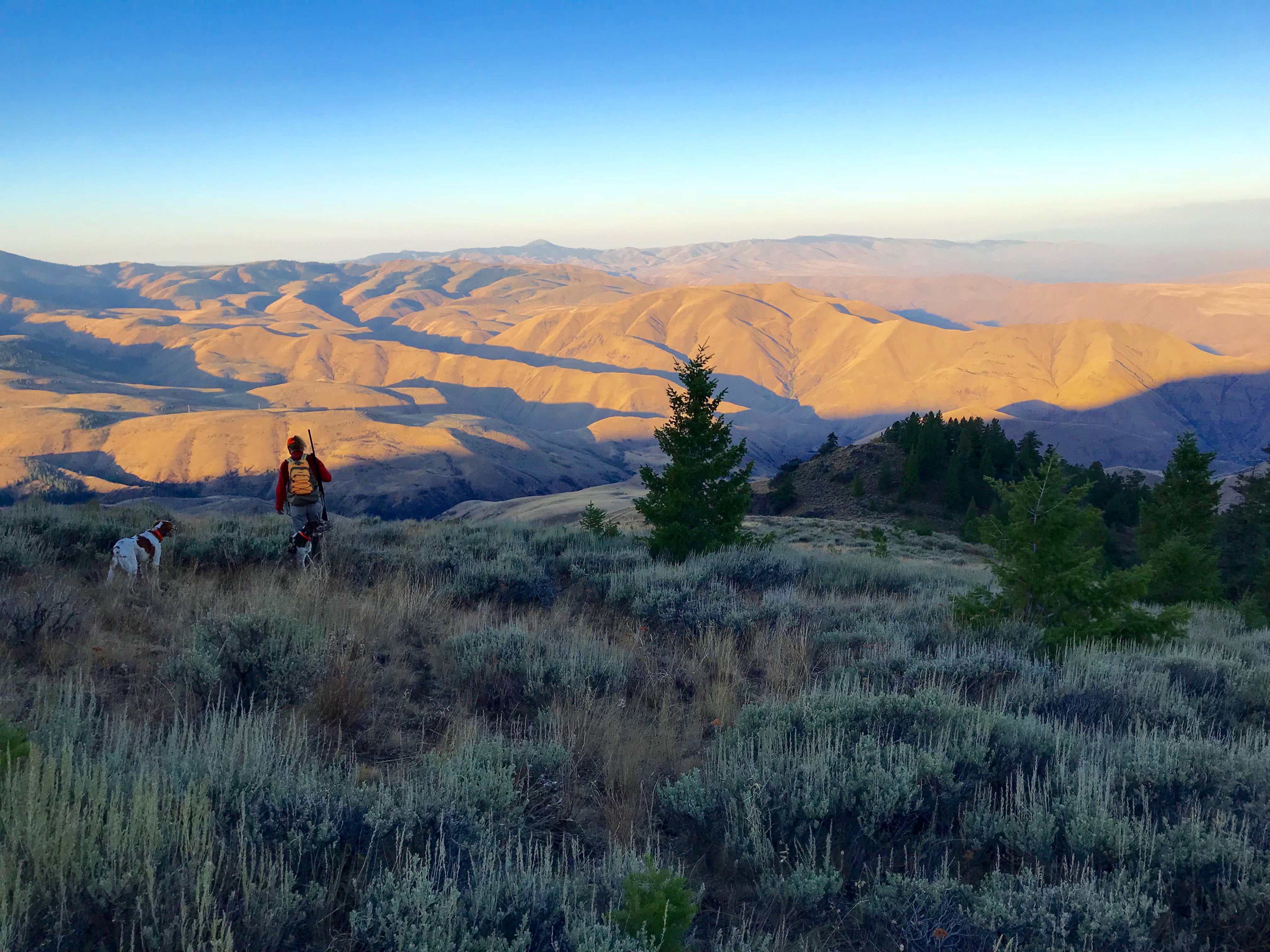 Chukar Spaces