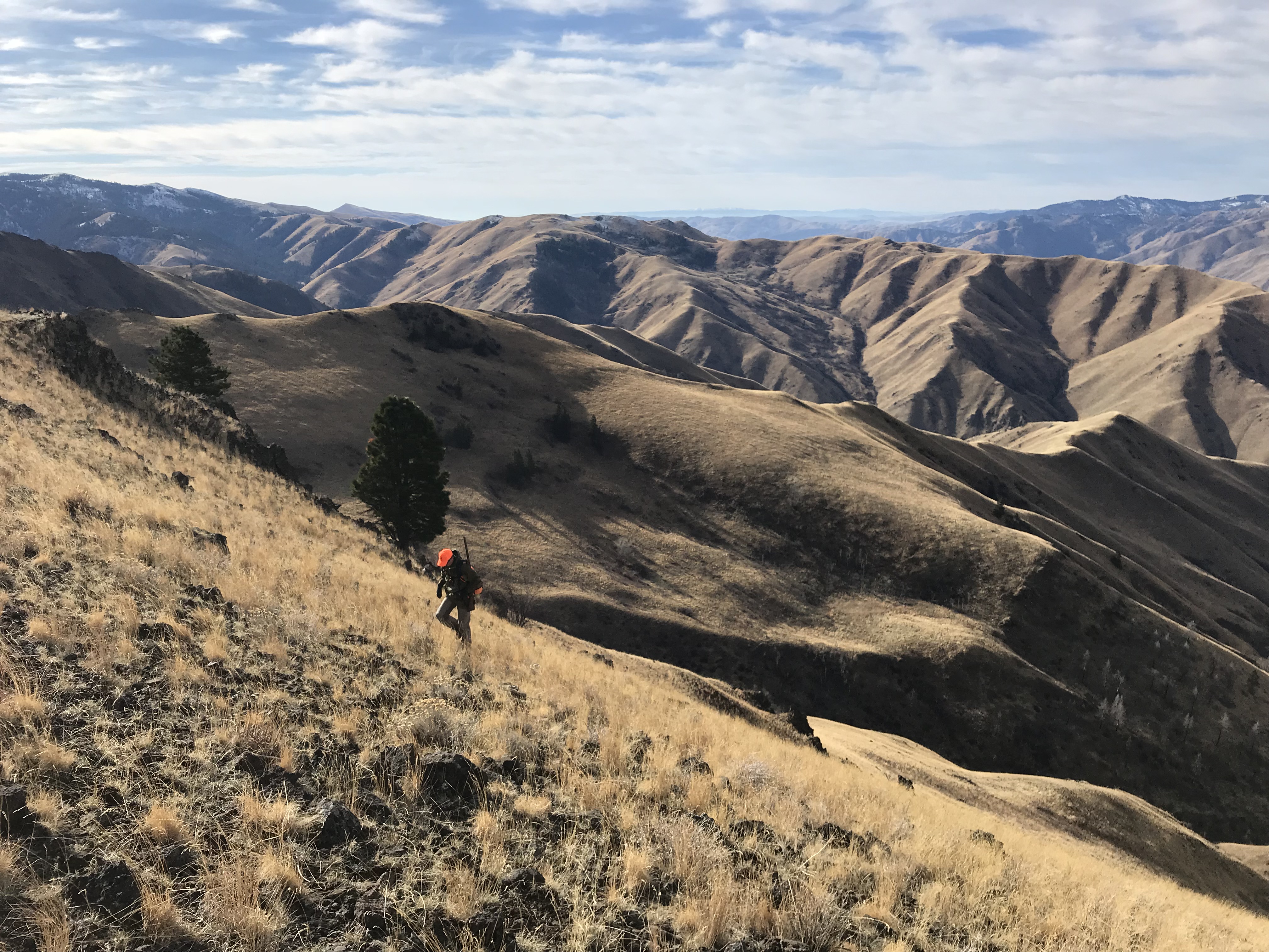 Where to Hunt Chukar