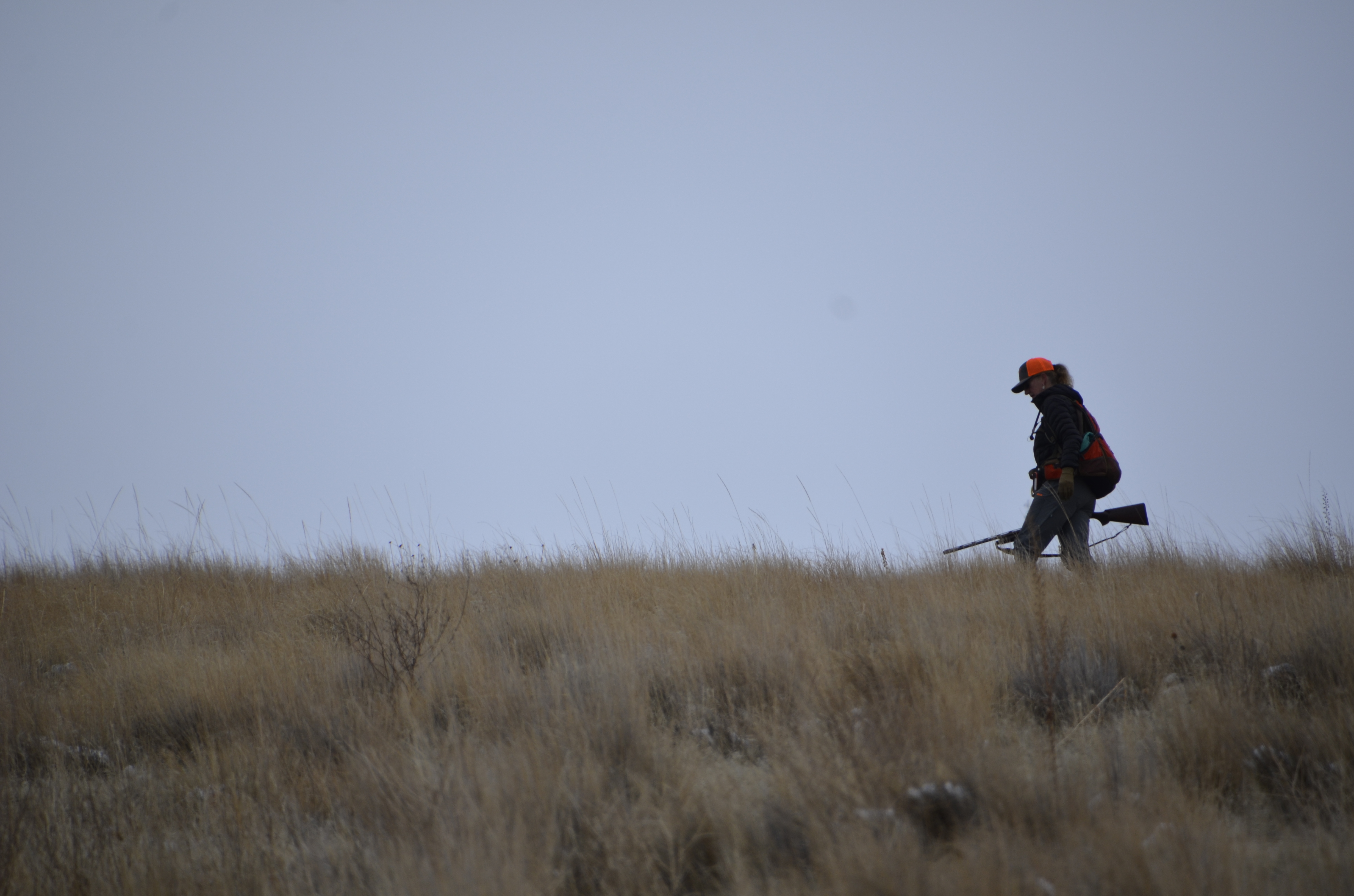 Chukar Journey