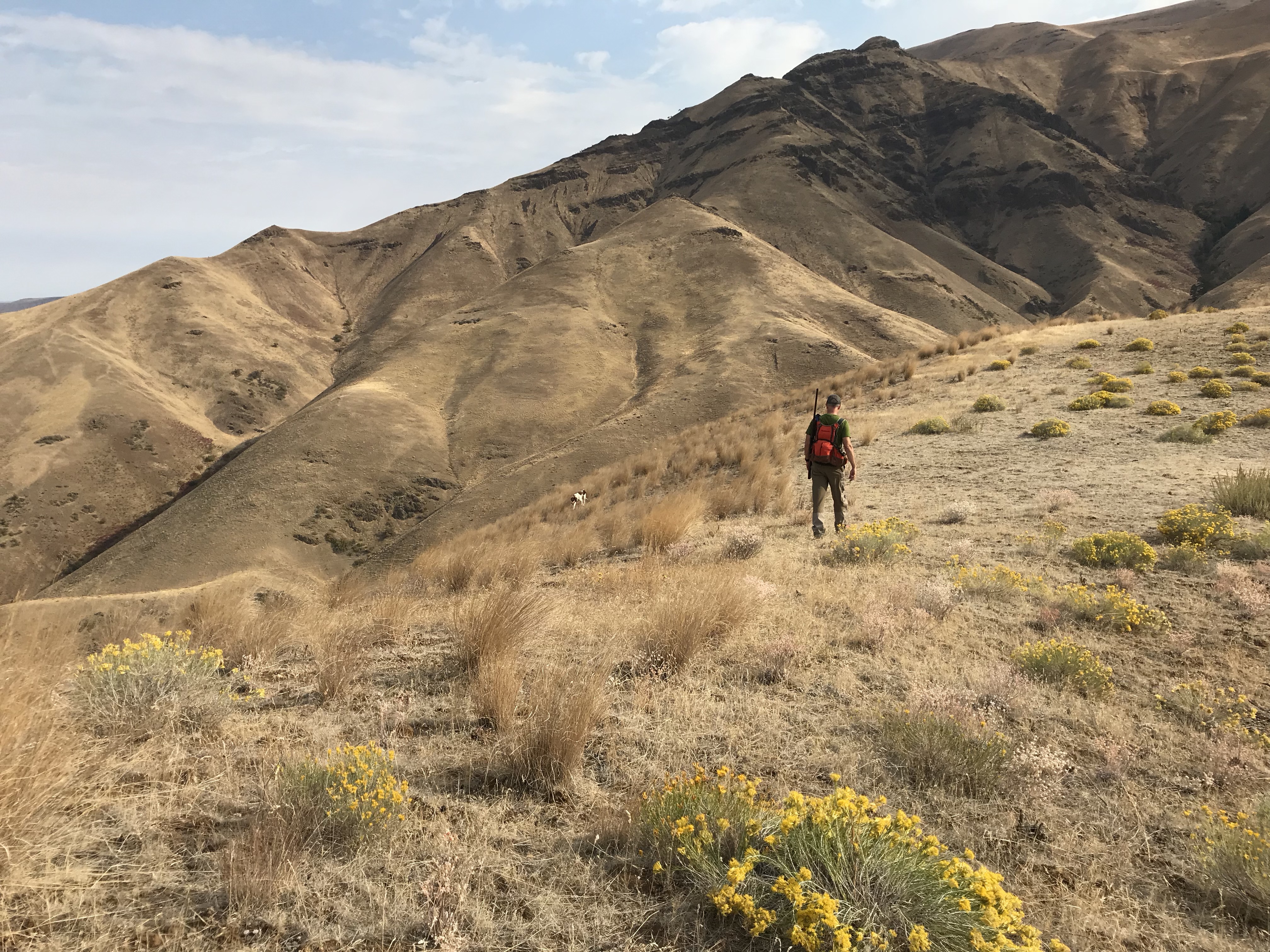 A Walk for Chukar
