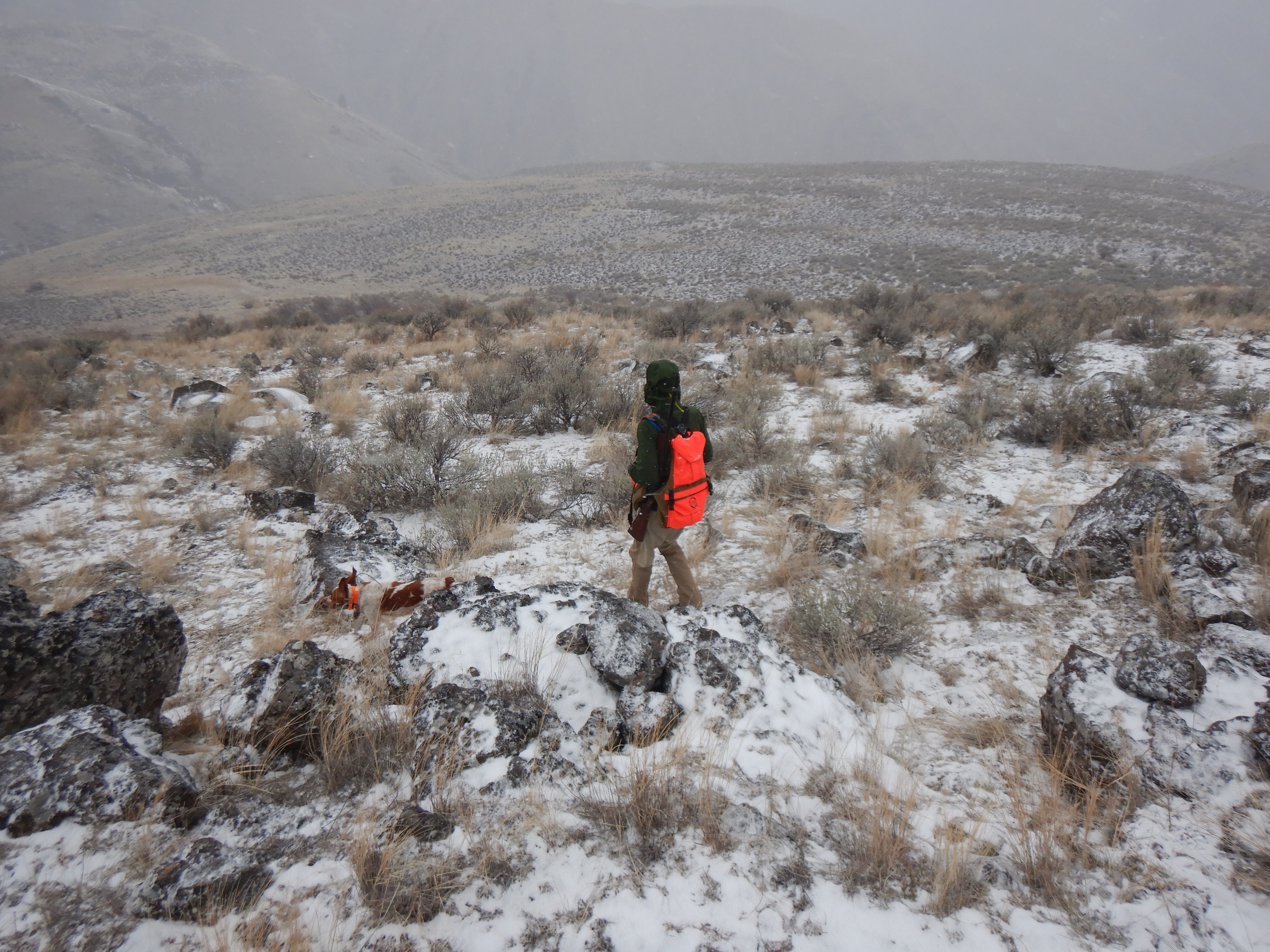 Quilomene Upland Bird Vest Review