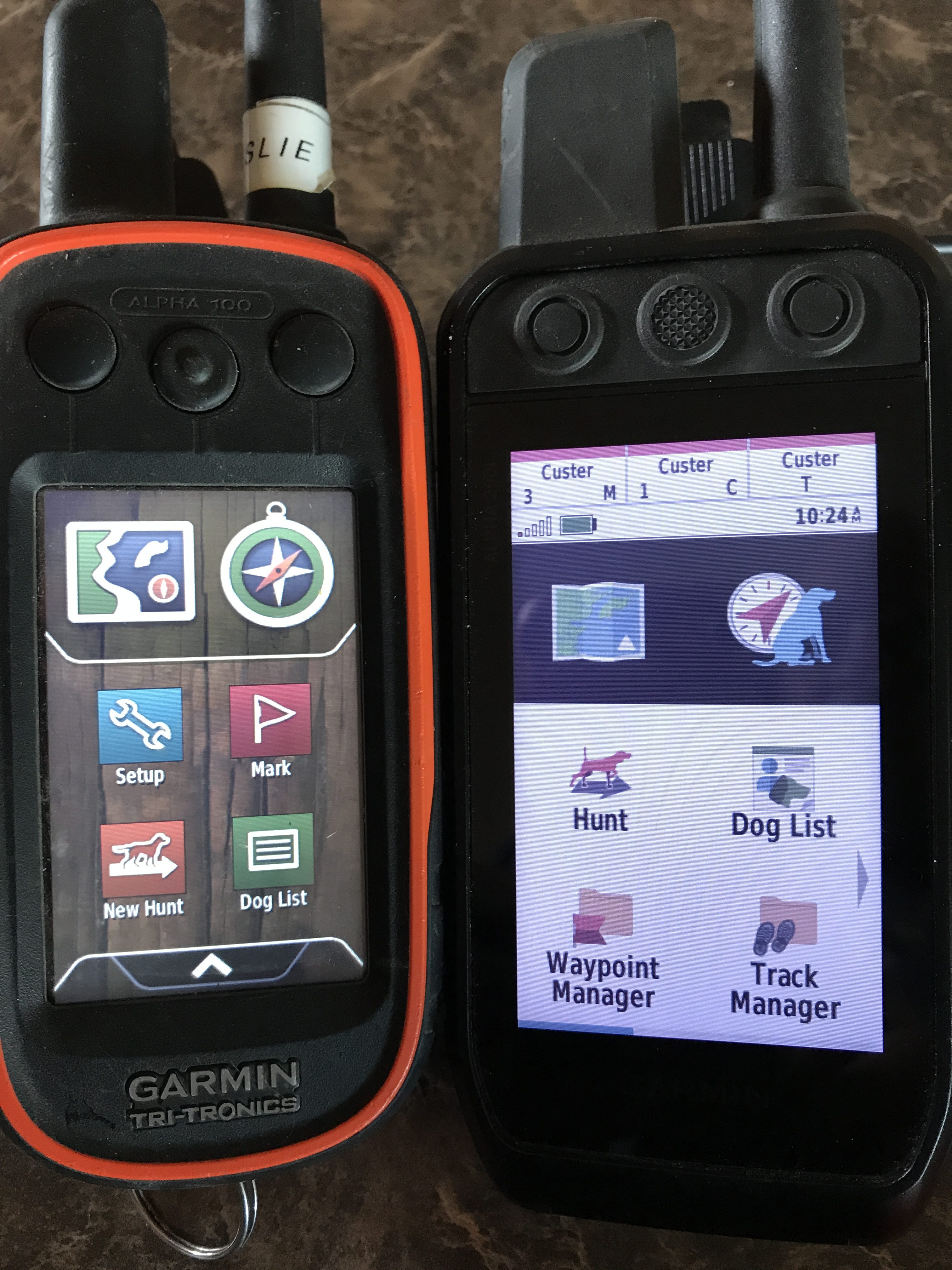 Garmin Alpha 200i