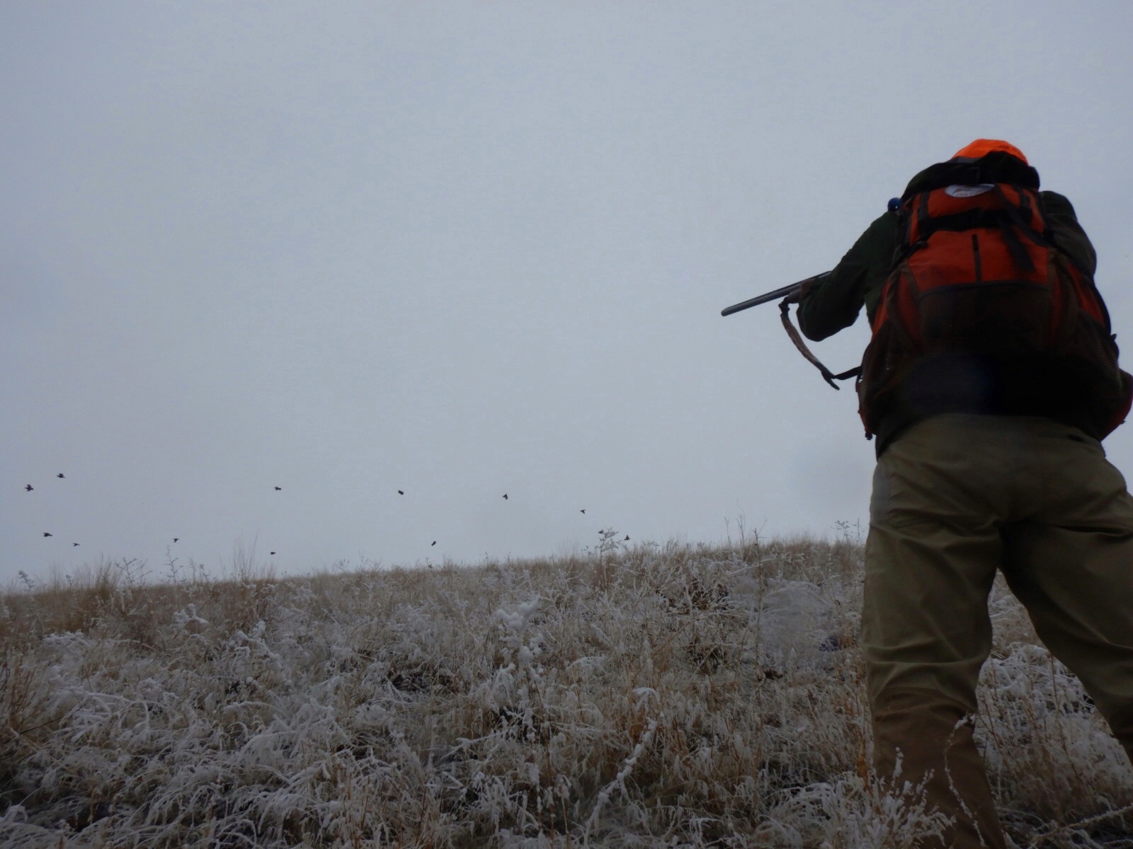 Weathering the Storm