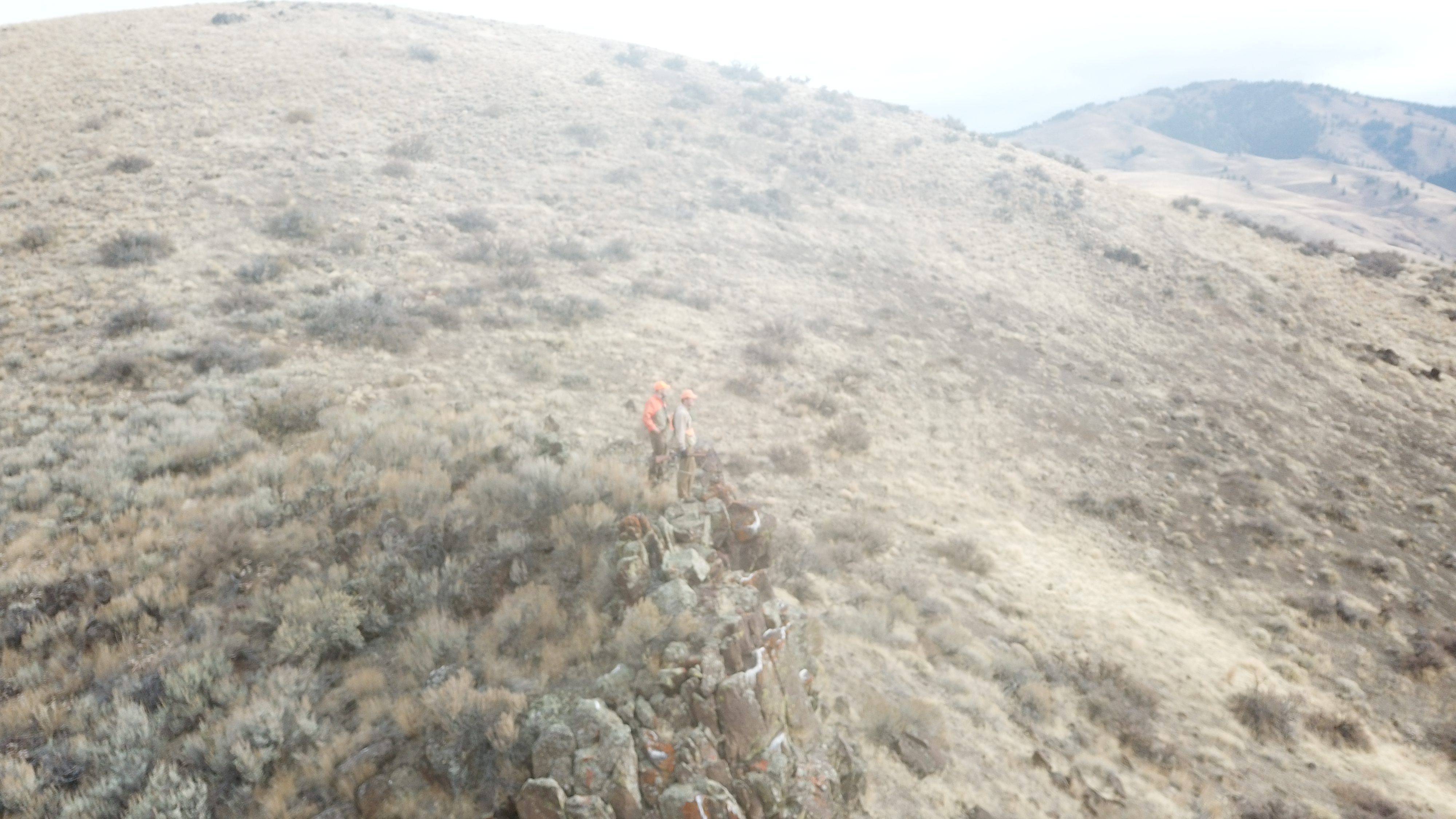 Droning
