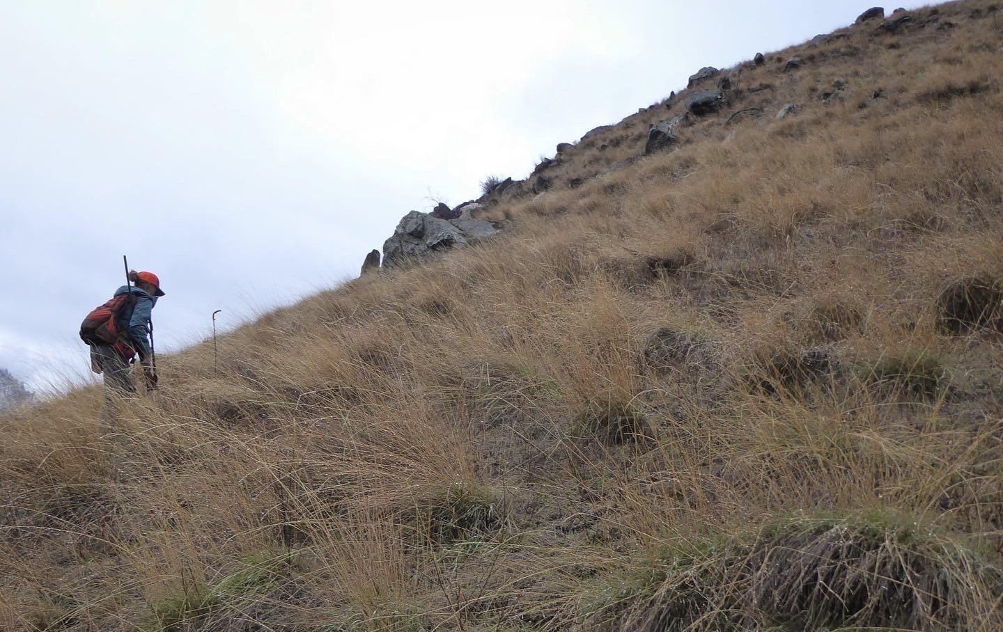 Climb