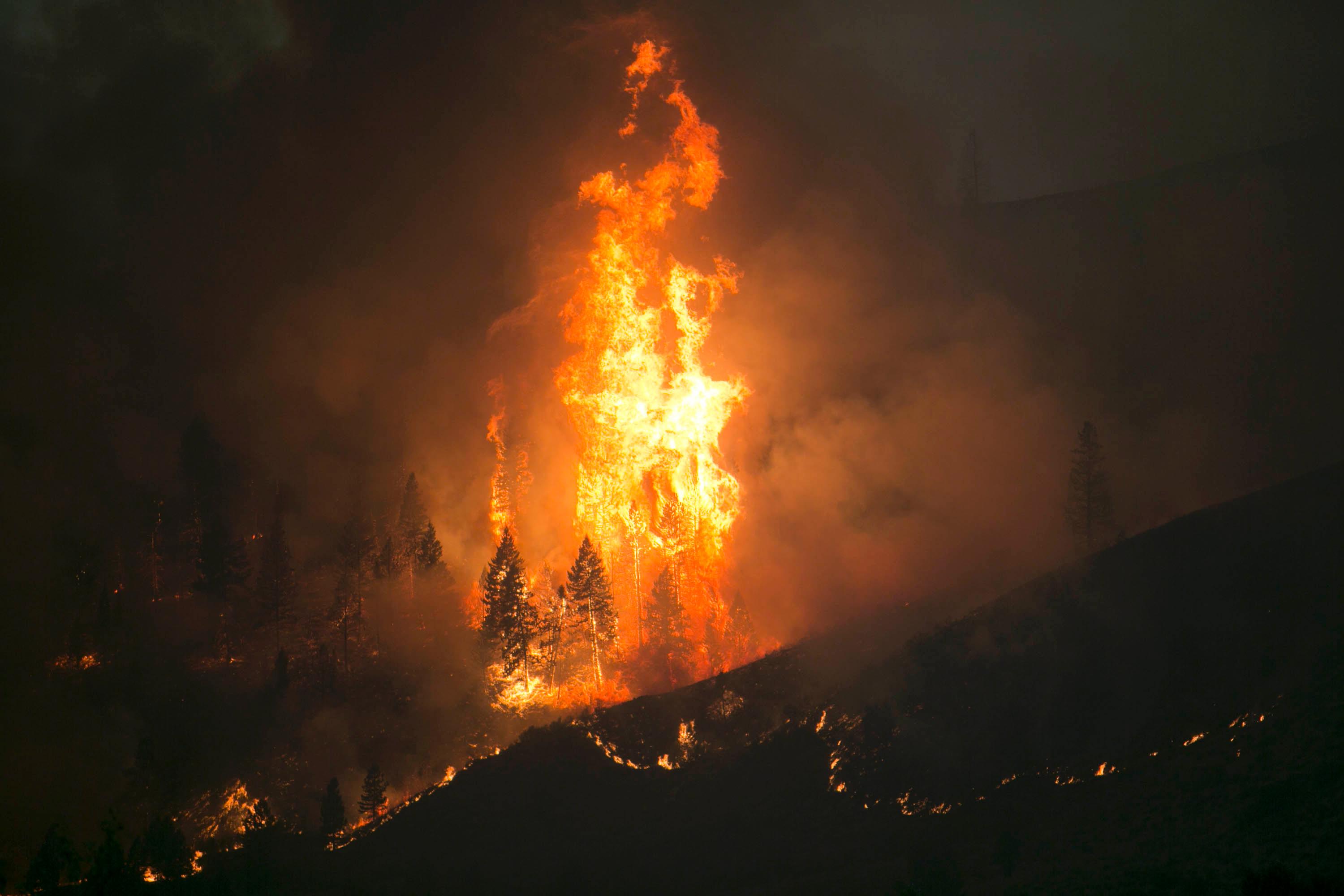 The Fire